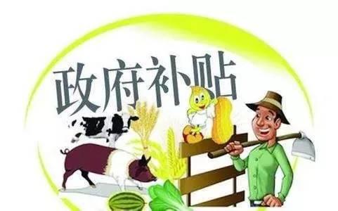 小升规