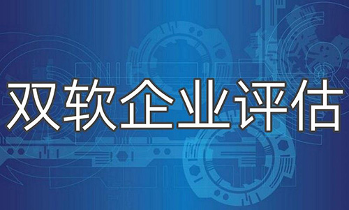 双软评估