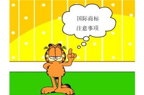 进军国际市场时，注册国际商标需要注意什么？
