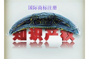 国际商标注册哪家好？？以及国际商标注册所有知识点??！【鼎智知识产权】