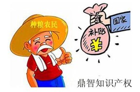 申请农业政府扶持资金，鼎智有妙招！！