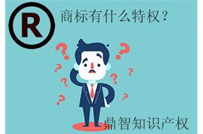 国际商标注册成功后，可享有8中特权！