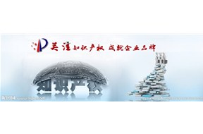 深圳市龙华新区知识产权、品牌、标准化