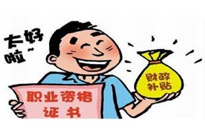 申请政府补贴项目需要做哪些？？？
