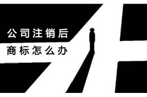 公司注销了，商标该去哪儿？——国际商标注册
