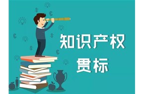 ?小企业不适合知识产权贯标？鼎智分析给你看！