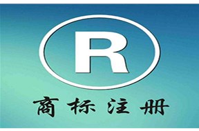 注册商标的无效宣告一般有哪几种？