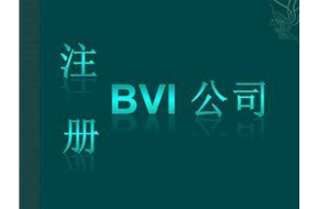 注册BVI海外离岸公司其公司管理方面有哪些优势？