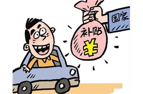 政府补助的形式有哪些？