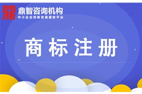 注册商标之后该怎么去查询进度？