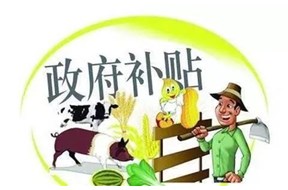 关于?市中小企业服务局关于2020年度民营及中小企业创新发展培育扶持计划小微工业企业上规模奖励项目资助计划公示的通知