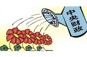 关于政府项目的相关知识科普