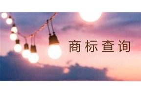 如何进行商标进度查询？