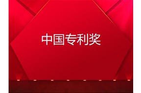 2020年深圳龙华区专利奖配套奖励申报指南