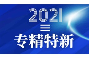 2021年深圳市“专精特新”中小企业公共服务示范平台遴选申报指南