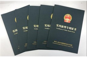 实用新型指的是什么？