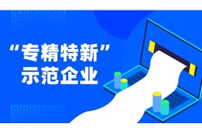 2021年深圳市专精特新中小企业遴选申报指南