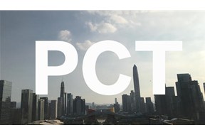 PCT是什么缩写？