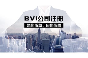 BVI公司注册流程详解