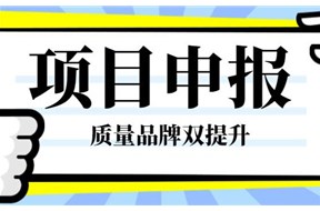 2022年深圳市工业和信息化局质量品牌双提升项目扶持计划申报指南