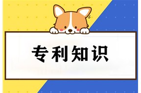 为什么只有发明专利要做实质审查？主要审查什么？