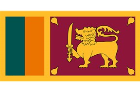 如何进行斯里兰卡专利申请？