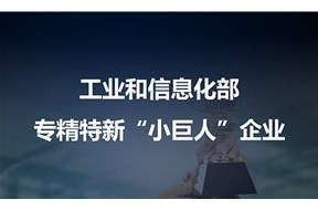2022年专精特新小巨人企业的认定条件有哪些？