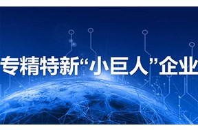 专精特新小巨人企业有什么好处？