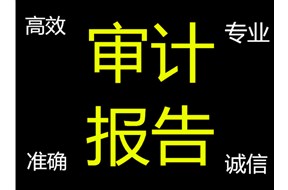 高新审计是什么意思？