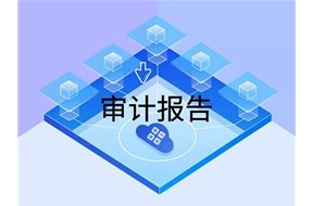 高新审计报告有哪些？