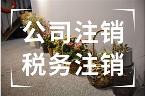 公司税务注销后还会被稽查吗？