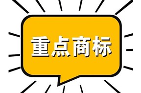 2022年广东省重点商标?；っ忌瓯ń刂故奔? /></a>
                        </div>
                        <div   id=