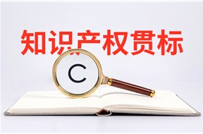 2023年深圳市知识产权管理规范贯标认证后资助项目申报指南