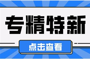 2025年东莞市专精特新企业奖励标准汇总