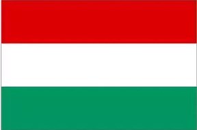 如何进行匈牙利专利申请？