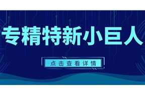 2025年深圳专精特新小巨人企业认定条件、好处等指南大全